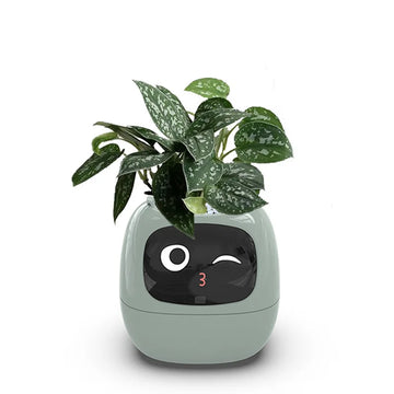Ivy Smart Plant Machine