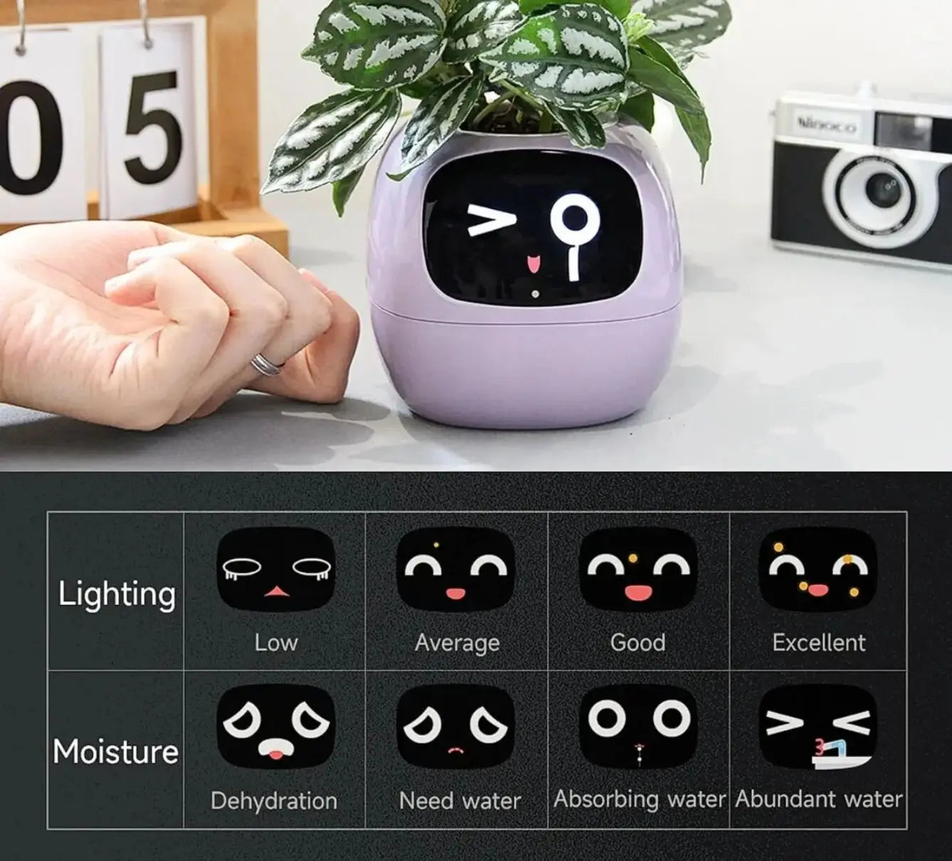 Ivy Smart Plant Machine