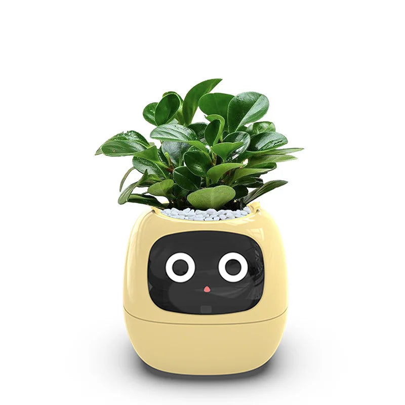 Ivy Smart Plant Machine