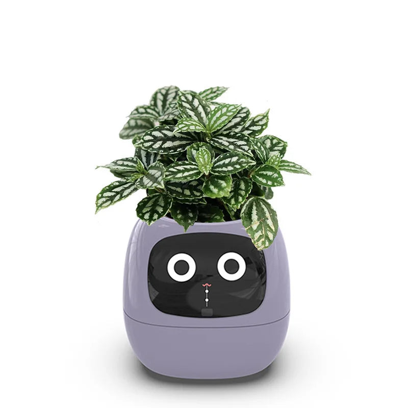 Ivy Smart Plant Machine