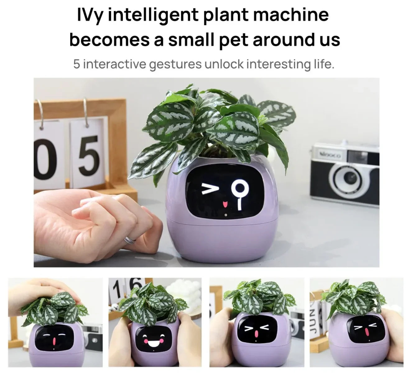 Ivy Smart Plant Machine