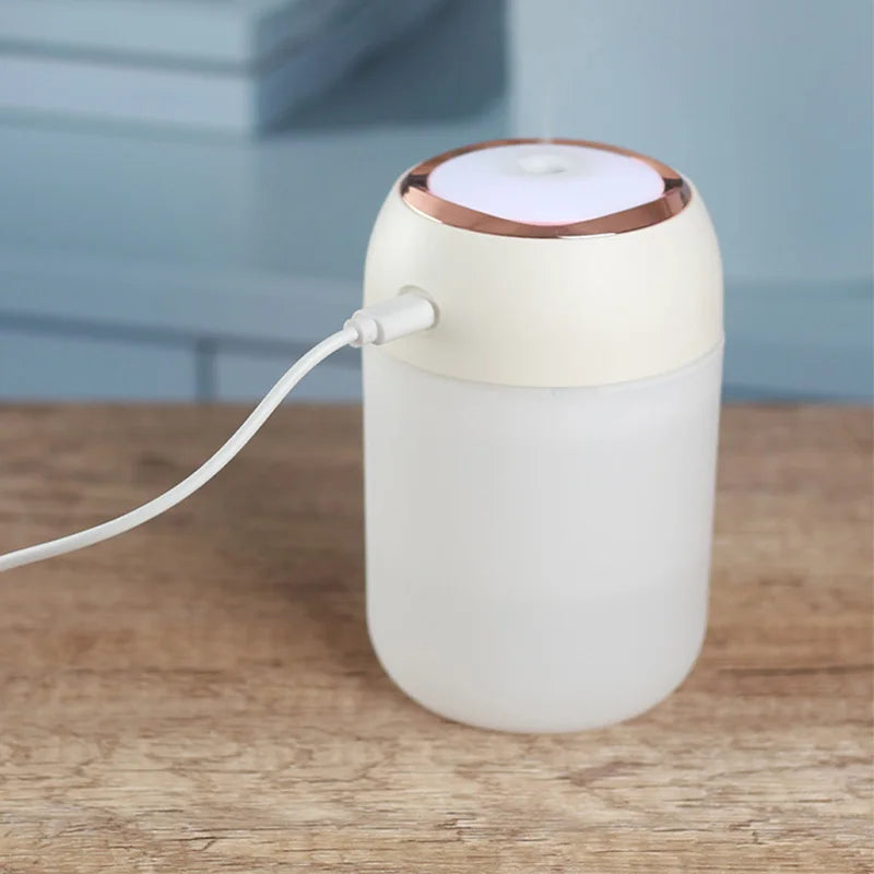 Portable Mini Air Humidifier & Aroma Diffuser with LED Light