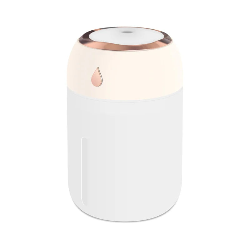 Portable Mini Air Humidifier & Aroma Diffuser with LED Light