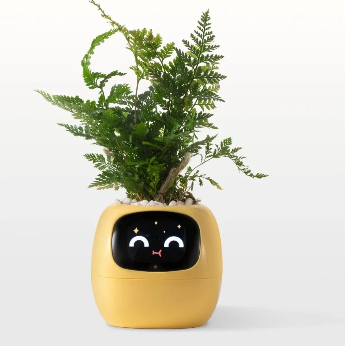 Ivy Smart Plant Machine