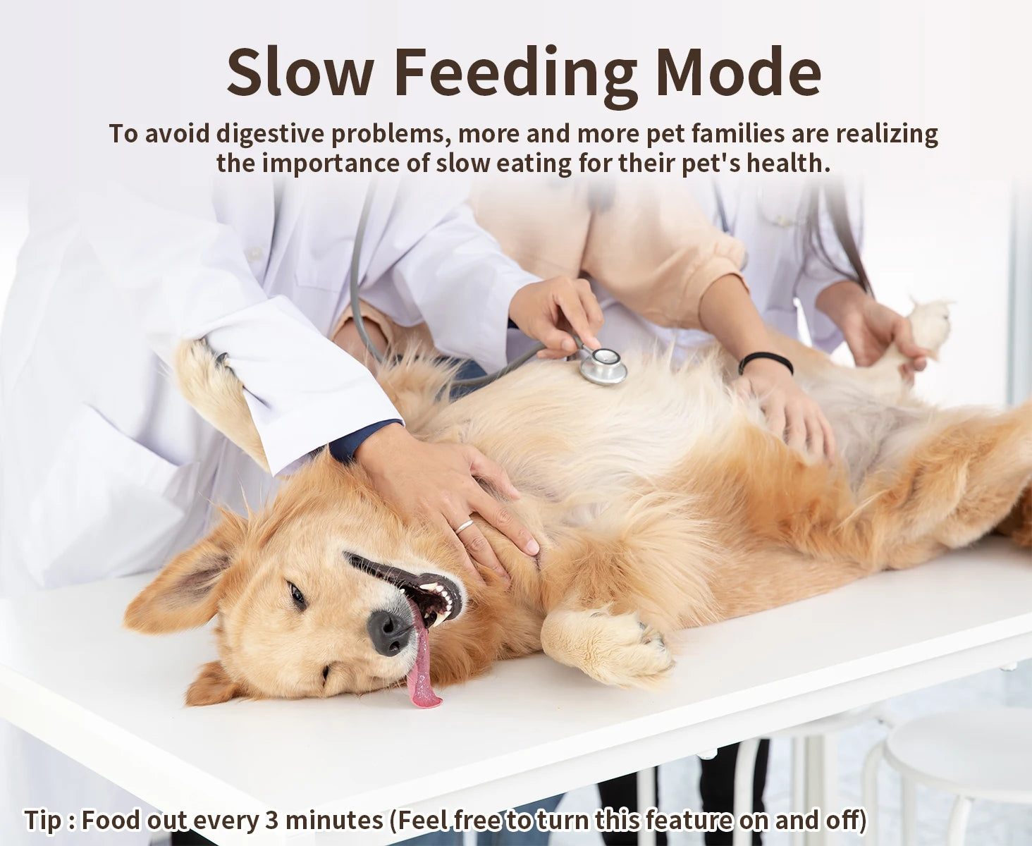 Automatic Smart Pet Feeder – Smart Home Gadgets by Oikonova